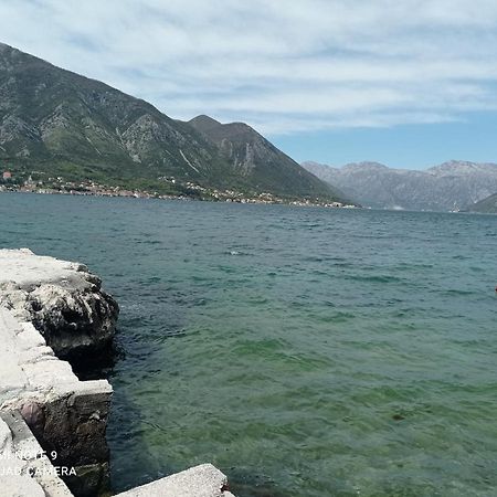 Apartman Milena 1 Kotor Exteriör bild