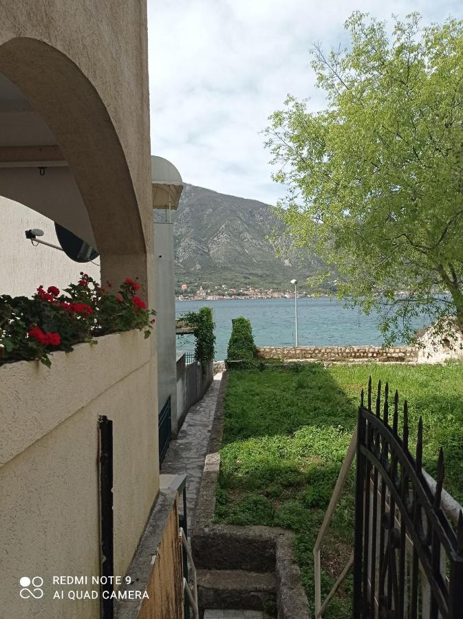 Apartman Milena 1 Kotor Exteriör bild